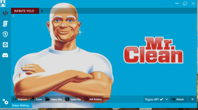 Read more about the article Mr Clean